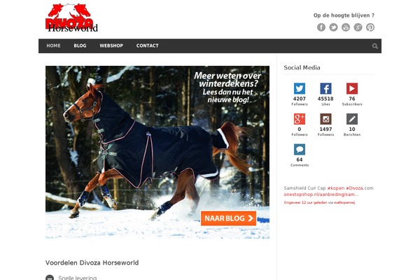 Modernize theme site design template sample