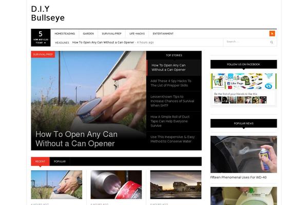 diybullseye.com site used Dw-focus-child-theme