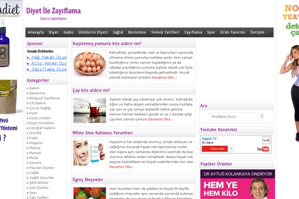 Wpt theme site design template sample