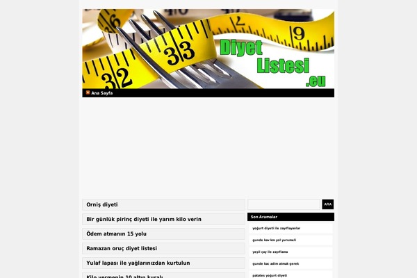diyetlistesi.eu site used Blocks