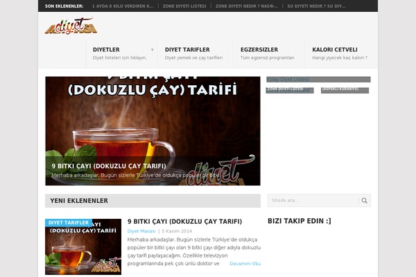 Point theme site design template sample