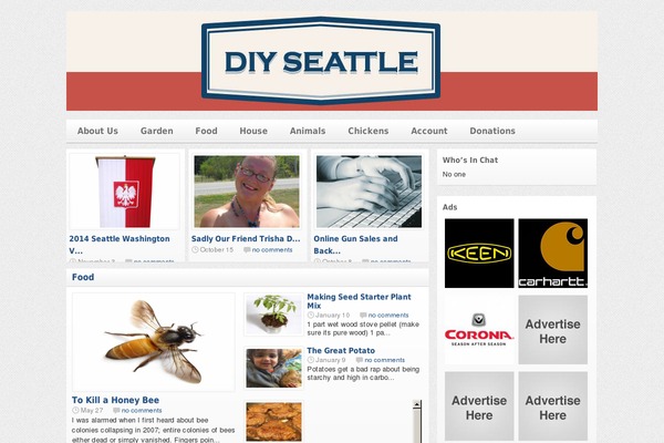 silverOrchid theme site design template sample