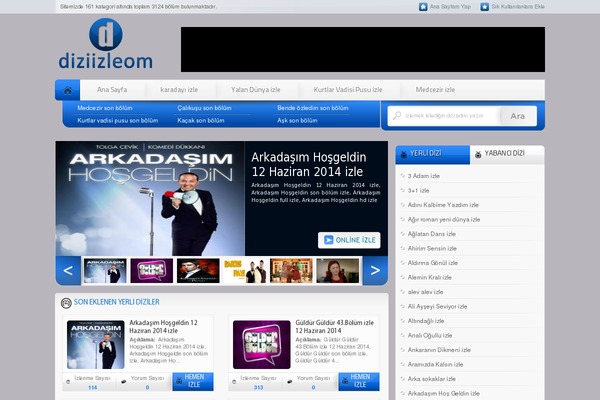 diziizleom theme websites examples