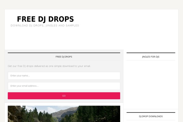 News Pro theme site design template sample