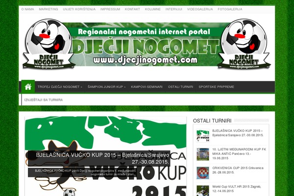 Sahifa theme site design template sample