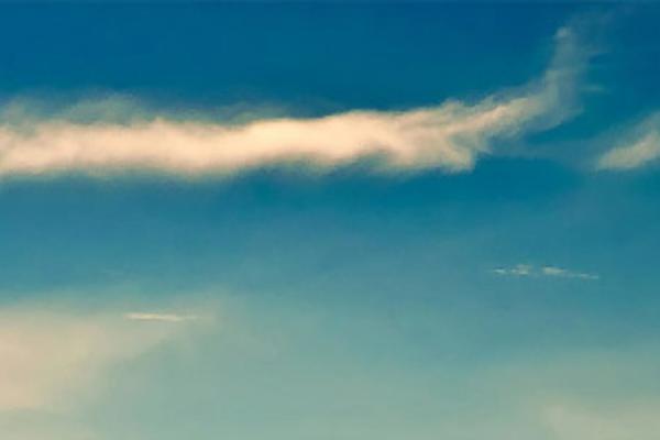 Parallax theme site design template sample