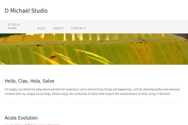 Beautiful Pro Theme theme site design template sample