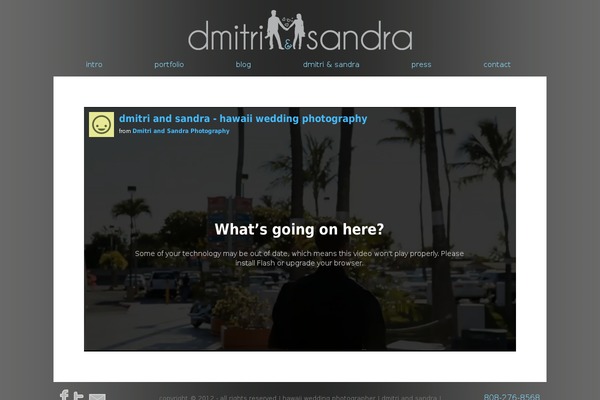 dmitrisandra theme websites examples