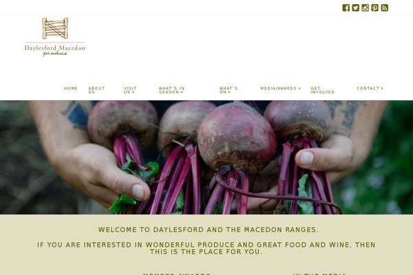 The7 Child theme site design template sample