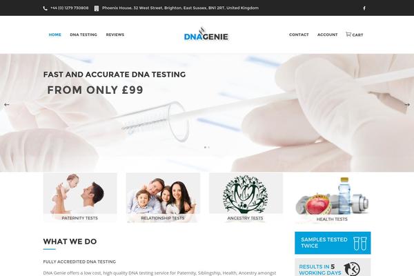 Onyx theme site design template sample