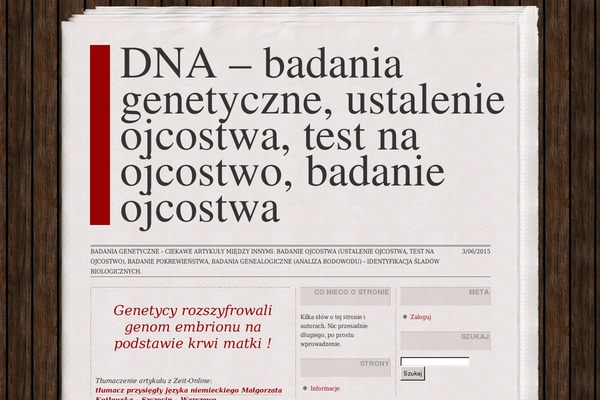 Dailynews theme site design template sample