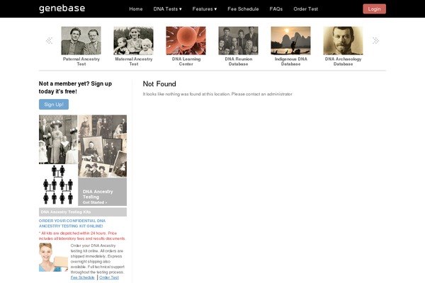 Visual theme site design template sample