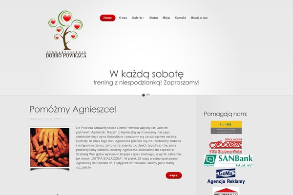 Nova theme site design template sample