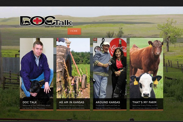 DocTalk theme websites examples