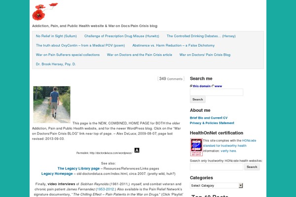 rtPanel theme site design template sample