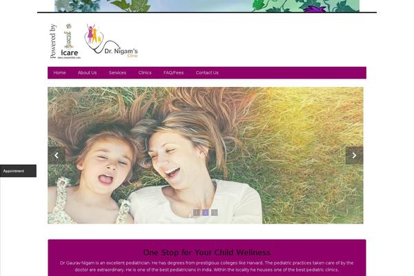 Site using WP Facebook Pixel plugin