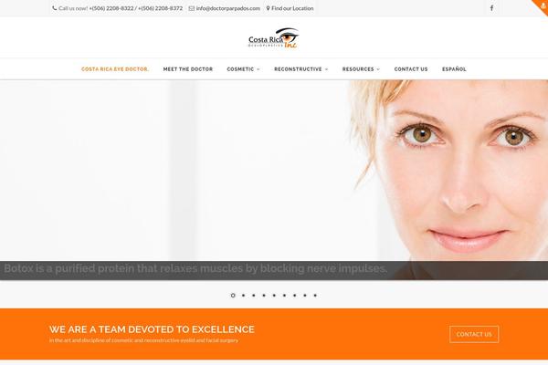 Apicona theme site design template sample