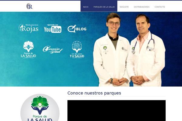 FlyMag theme site design template sample