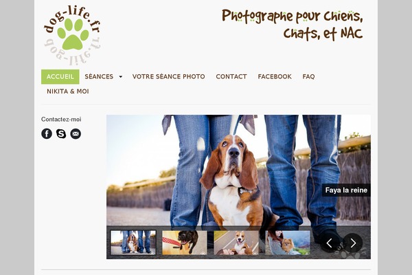 Pulse theme site design template sample