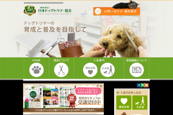 Custom theme site design template sample