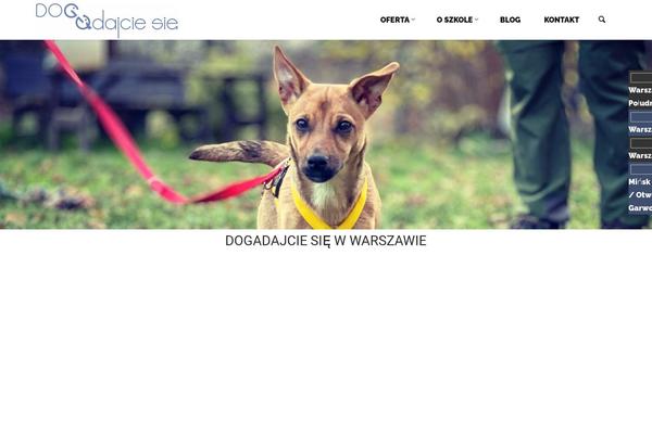 Site using Advance-category-posts-widget plugin