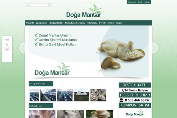 Site using Portfolio-pro plugin