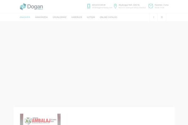 Bridge theme site design template sample