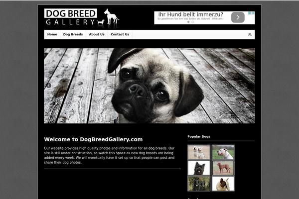 Site using Codecanyon-2665332-social-gallery-wordpress-photo-viewer-plugin plugin