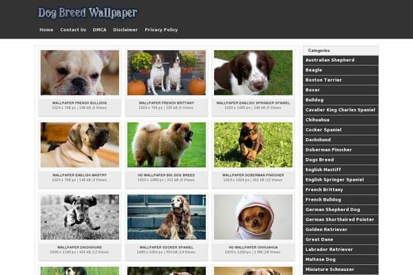 Wallpresss theme site design template sample