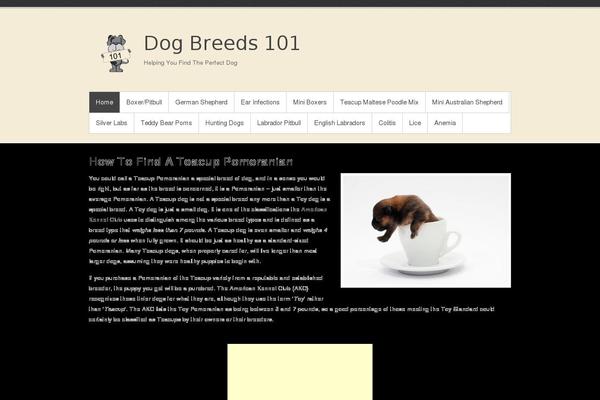 Simple Catch theme site design template sample