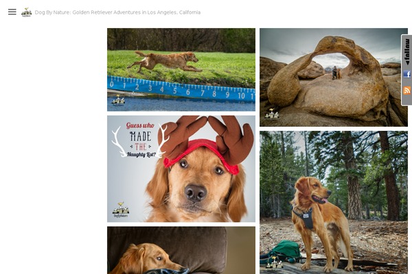dogbynature.com site used Lookbook