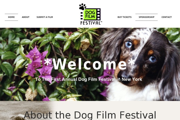 Downtown theme site design template sample