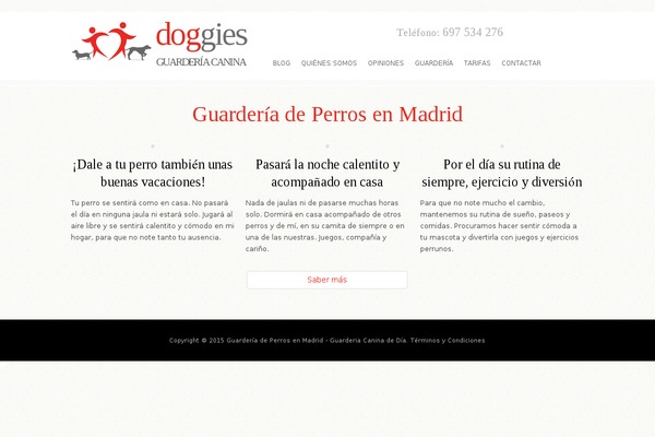 Orion theme site design template sample
