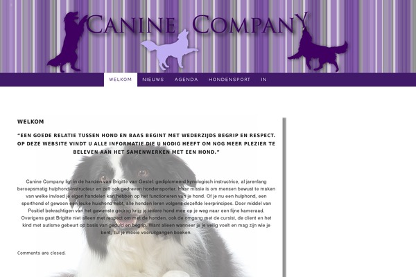 1140fluidstarkers theme site design template sample