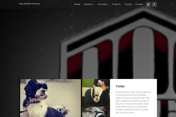 Teddy theme site design template sample