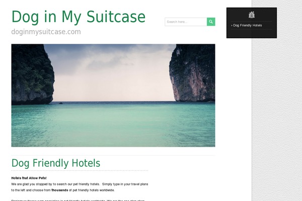 doginmysuitcase.com site used Writer-blog
