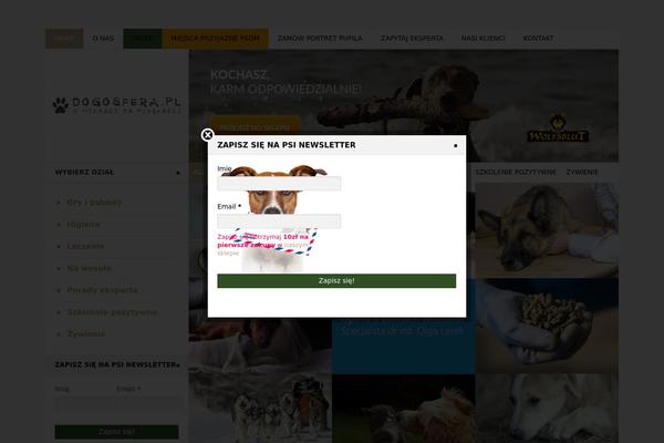 Mimo_grider theme site design template sample