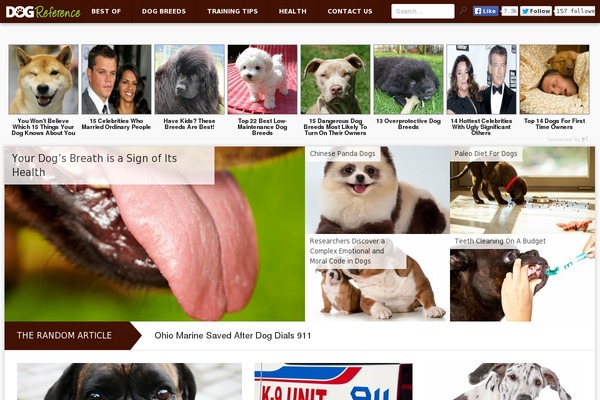 Site using Copyright-buttons-3.0 plugin