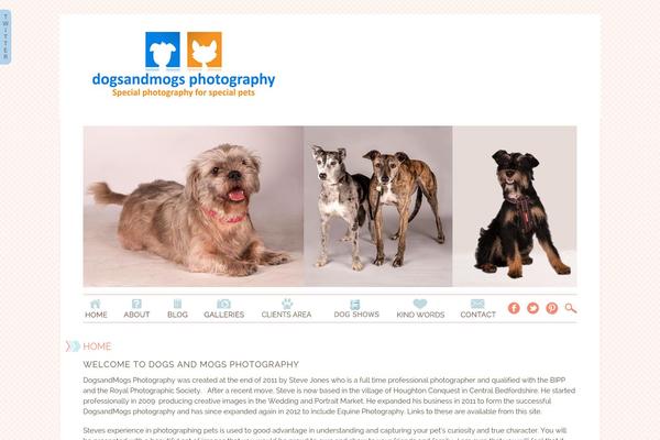 ProPhoto 5 theme site design template sample