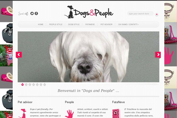 Simple’n’Bright theme site design template sample