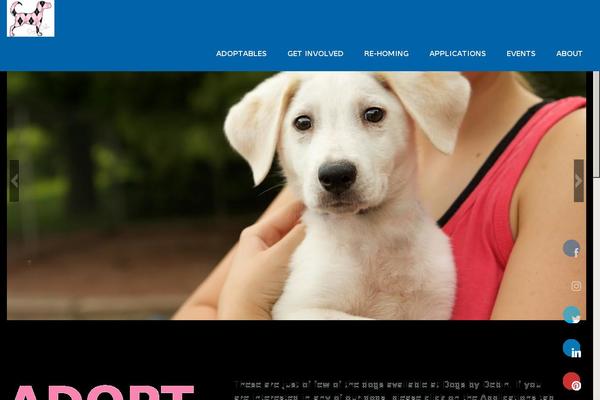Site using Shared-counts plugin