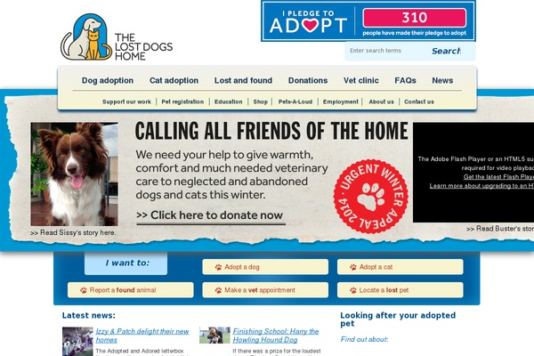dogshome.com site used Ldhtheme