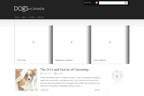 Dic theme site design template sample