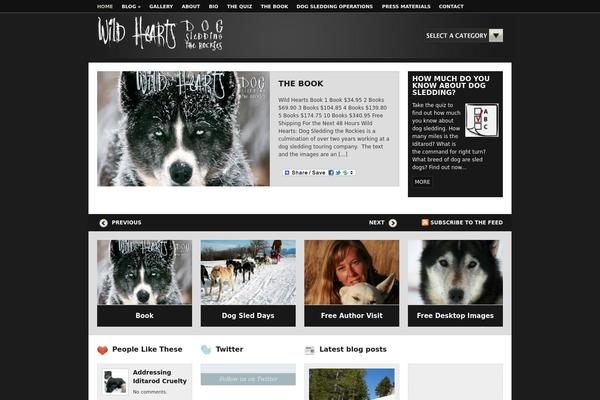 Aperture theme site design template sample