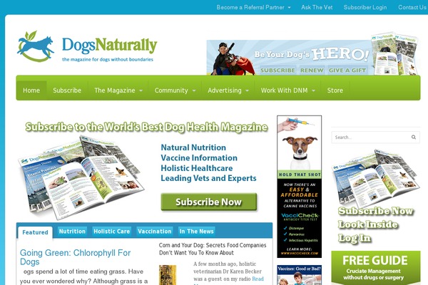 rise-child theme websites examples