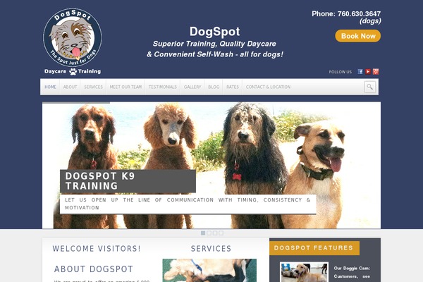 dogspot.biz site used Reach.service-in-slow