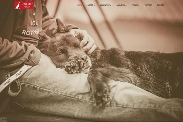 PetCare theme site design template sample