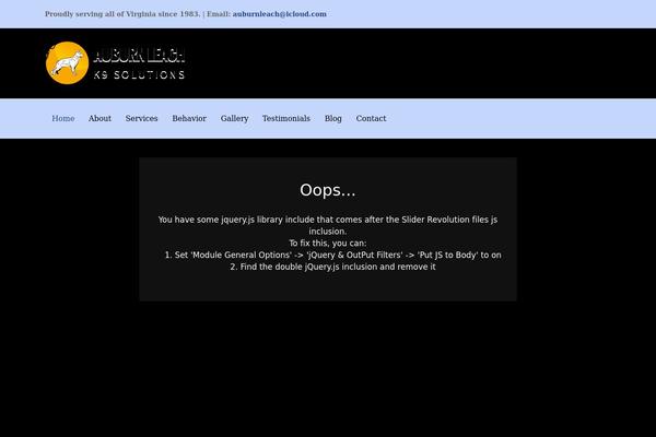 Oldhaven theme site design template sample