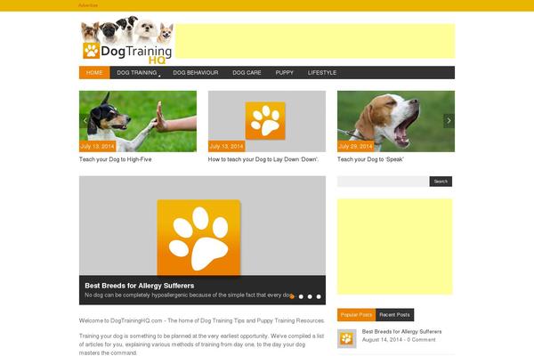 Magazon theme site design template sample