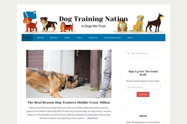 Lifestyle Pro theme site design template sample